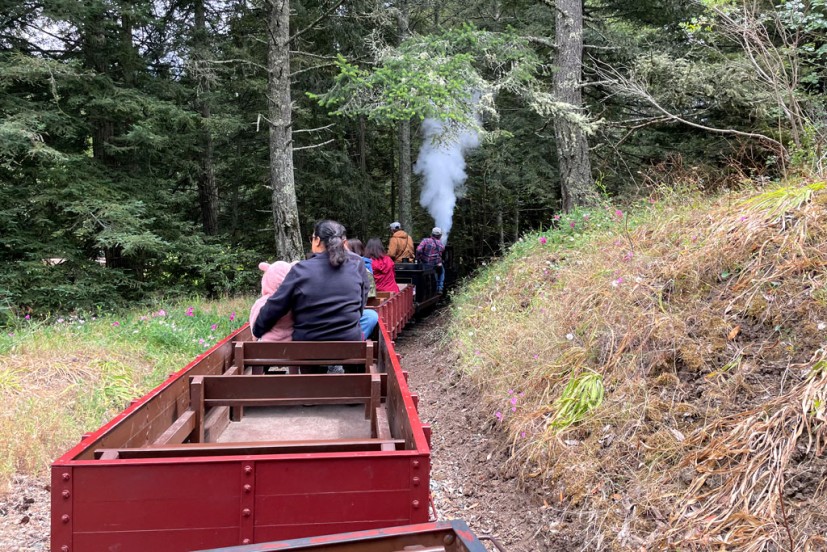 Redwood Valley Railway Tilden Park Berkeley