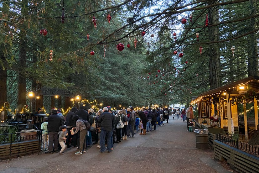 Winterfest at the Tilden Park Steam Trains in Berkeley