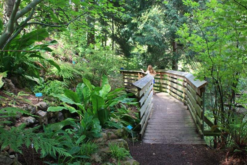 Explore Berkeley's Tilden Park for Family Fun and Adventure Marin Mommies