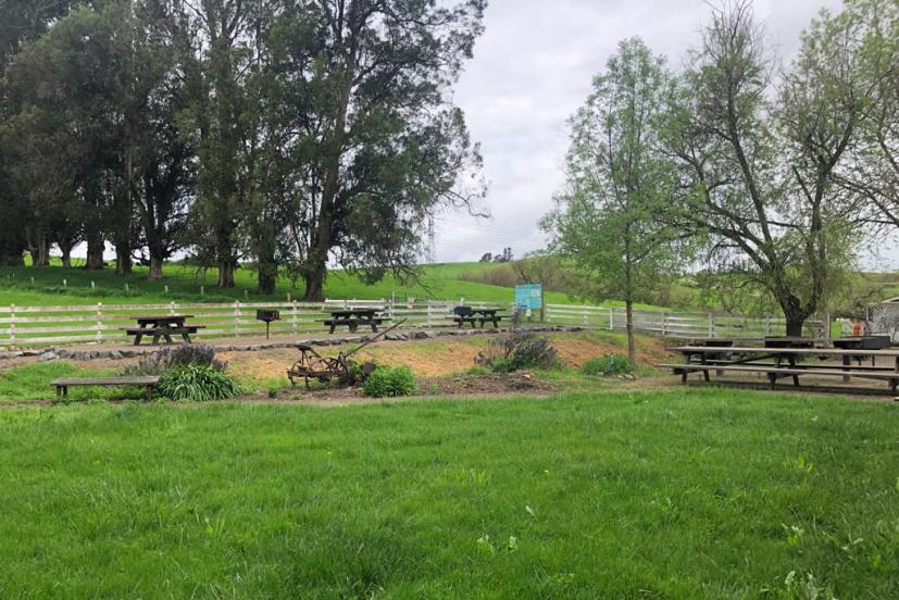 Tolay Lake Regional Park Petaluma