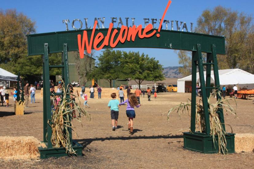 Tolay Fall Festival 2018