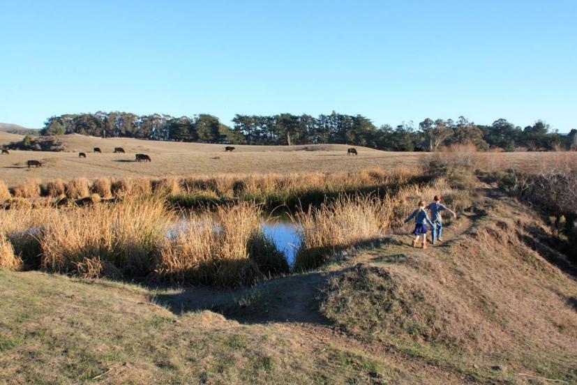 Tomales Bay Trail