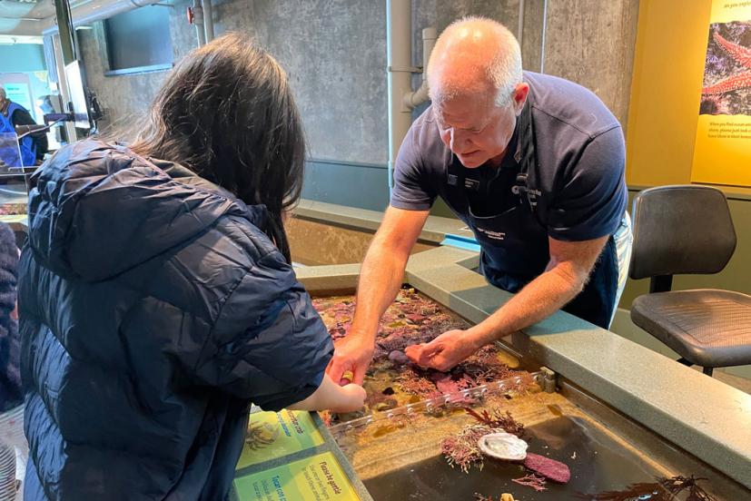 Monterey Bay Aquarium Splash Zone touch table