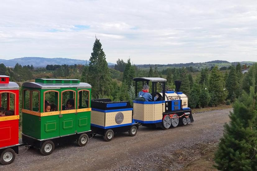 Reindeer Ridge Tree Farm train ride