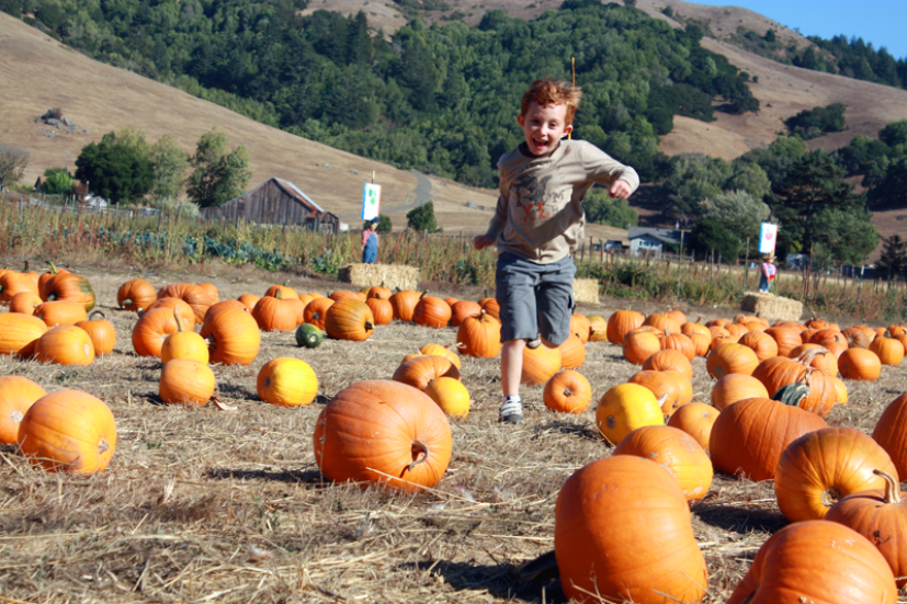 Marin Weekend Family Fun for September 2729 Marin Mommies