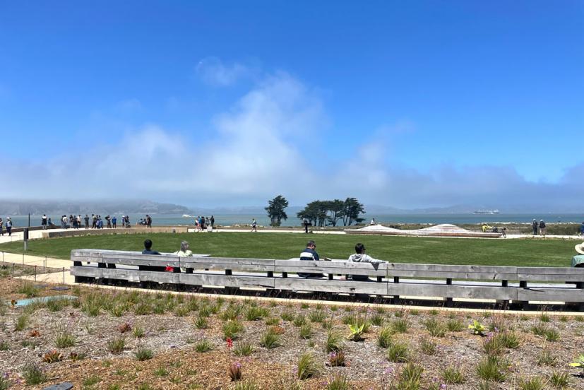 Tunnel tops benches and view