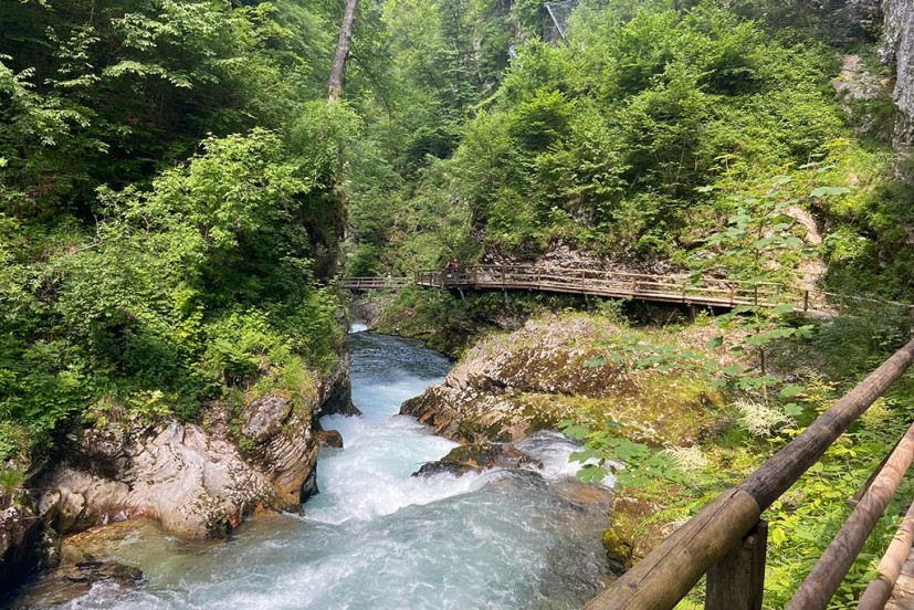 Vintgar Gorge Slovenia