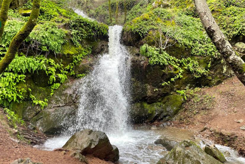 Buck Gulch Falls Fairway Novato