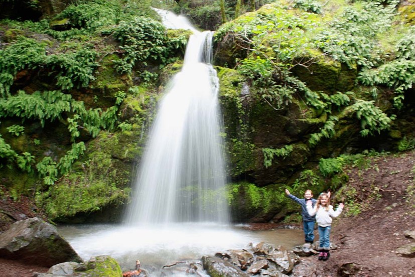 Two children standing next to a waterfall splashing into a pool. Green ferns surround everything.