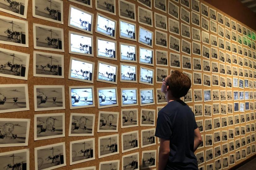 explore the walt disney