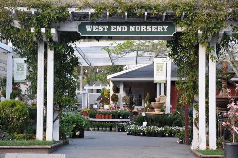 West End Nursery