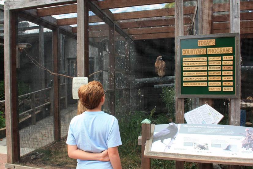 WildCare San Rafael