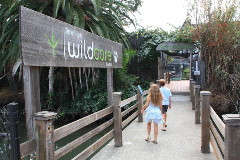 WildCare San Rafael