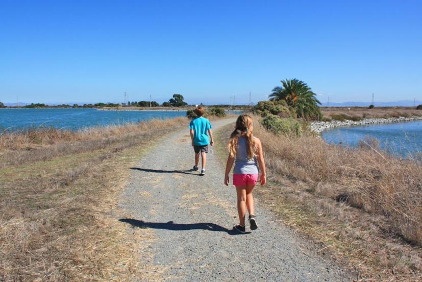 Las Gallinas wildlife ponds