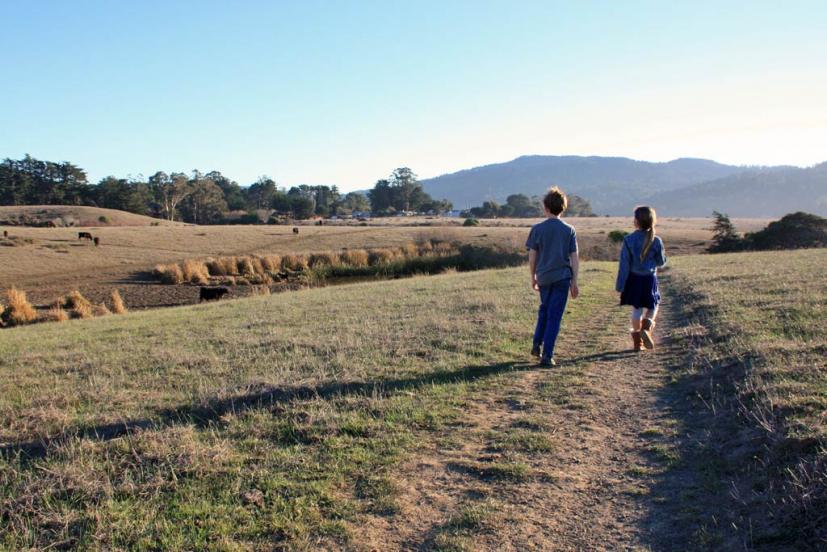 Tomales Bay Trail winter hike with kids in West Marin