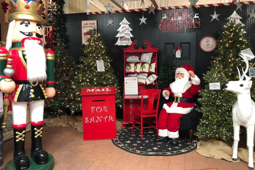 The Spectacular Christmas House At San Rafael S West End Nursery West End Nursery Christmas House San Rafael