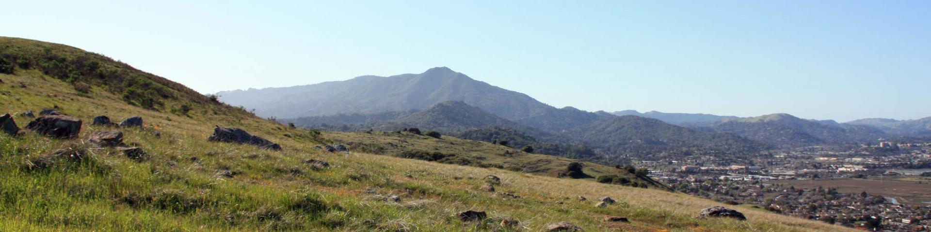 Mt. Tam Marin County