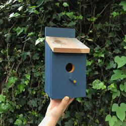 Family Event: Pre-Mother's Day Birdhouse Construction | Marin Mommies