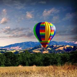 Sonoma County Hot Air Balloon Classic