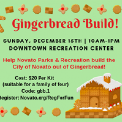 Gingerbread Build! Novato