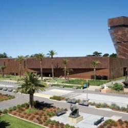 free day at the de young museum