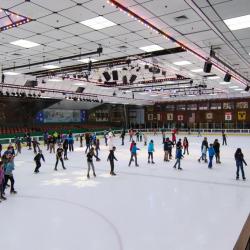 Snoopy Home Ice