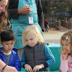 Bay Area Discovery Museum, Sausalito