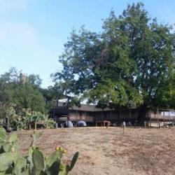 Petaluma Adobe