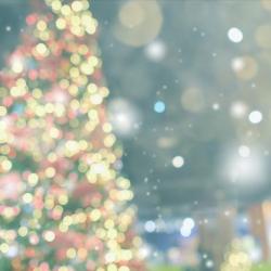 Tree lighting festival