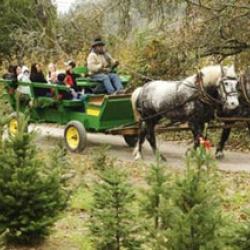 Holidays Along The Farm Trails 2019