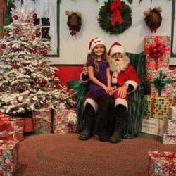 Little Hills Christmas Tree Farm–Petaluma