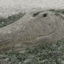 Drake's Beach Annual Sand Sculpture Contest