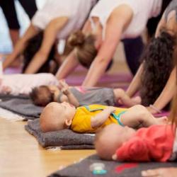 Pomegranate Yoga