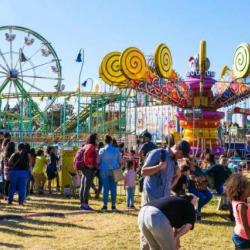 Sonoma-Marin Fair 2019