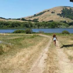 Stafford Lake Park Novato