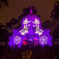 Night Bloom–Conservatory of Flowers, San Francisco