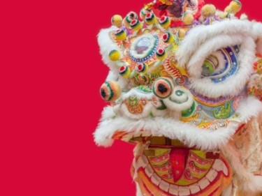 Lion dance costume on red background