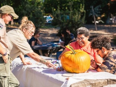 Pumpkin painting in park