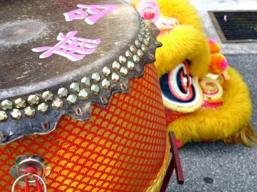 Lunar New Year drum and lion costume