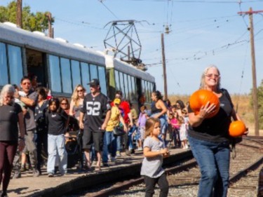 Western Railway Museum Pumpkin Patch Festival