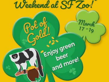 St. Patrick's Day Weekend at the SF Zoo