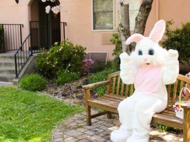 Easter Bunny at Fairmont Sonoma Mission Inn