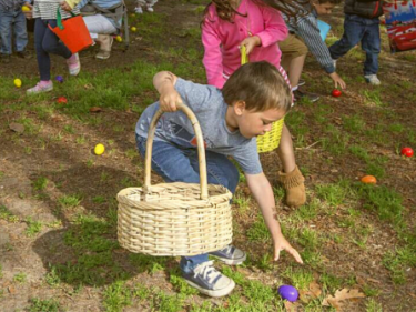  Annual Children’s Easter Egg Hunt – Historic Sonoma Plaza
