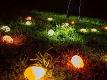 Glowing colorful easter eggs in a lawn at night