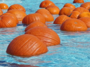 Terra Linda Pool: Floating Pumpkin Patch