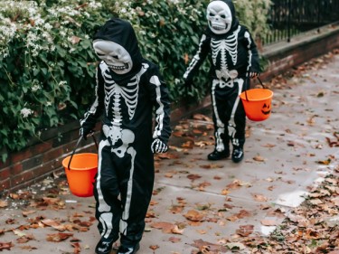 Halloween Costume Swap, Novato