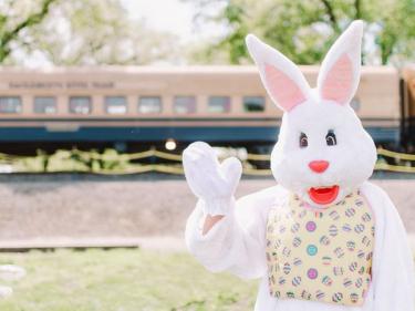 The Easter Egg Express–River Fox Train