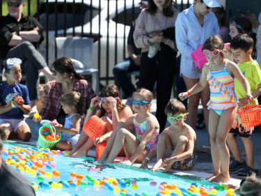 Sonoma: EGGstravaganza