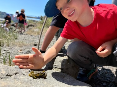 Watershed Warriors at Marin GreenPlay Camp 