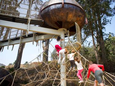 Kids climbing rope ladder at Gumnut Grove at Bay Area Discovery Museum in Sausalito